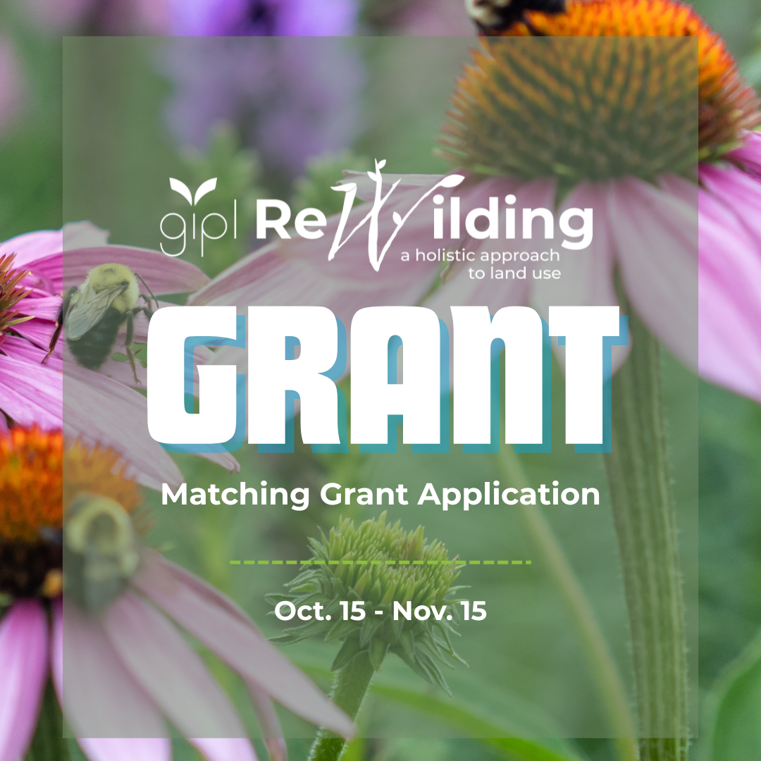 Grant: ReWilding thumbnail