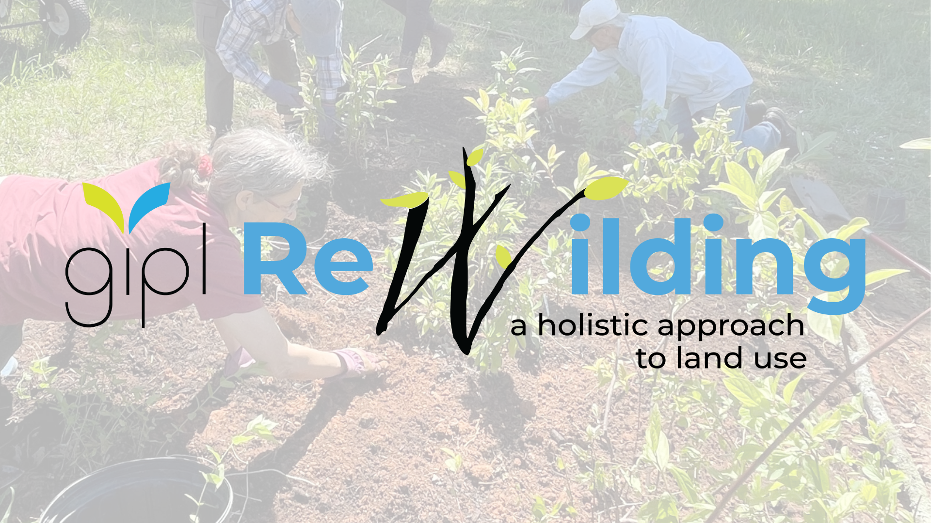 NEW: Complete Tree Planting Interest Form thumbnail