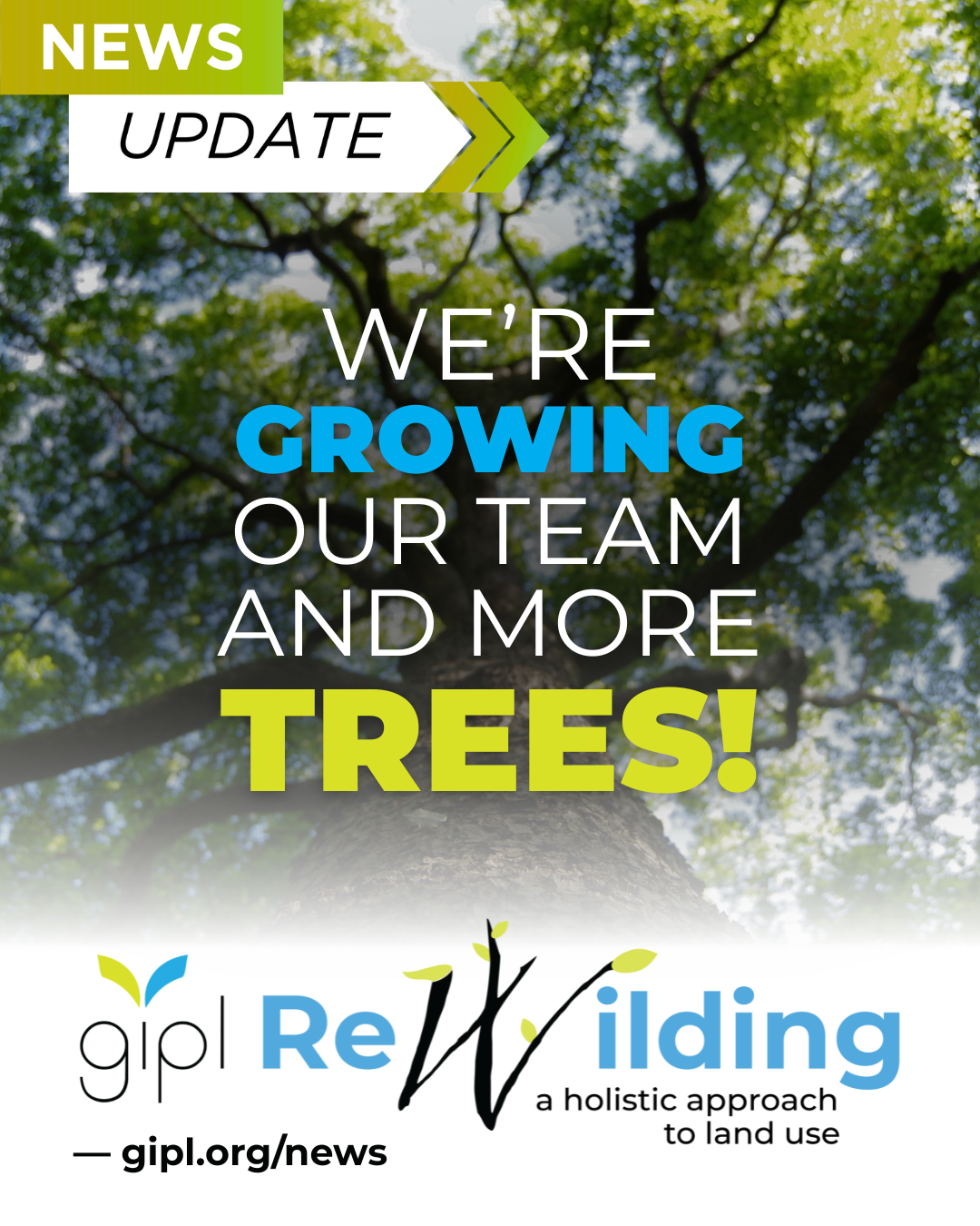 NEWS: GIPL Scales Up ReWilding Program thumbnail