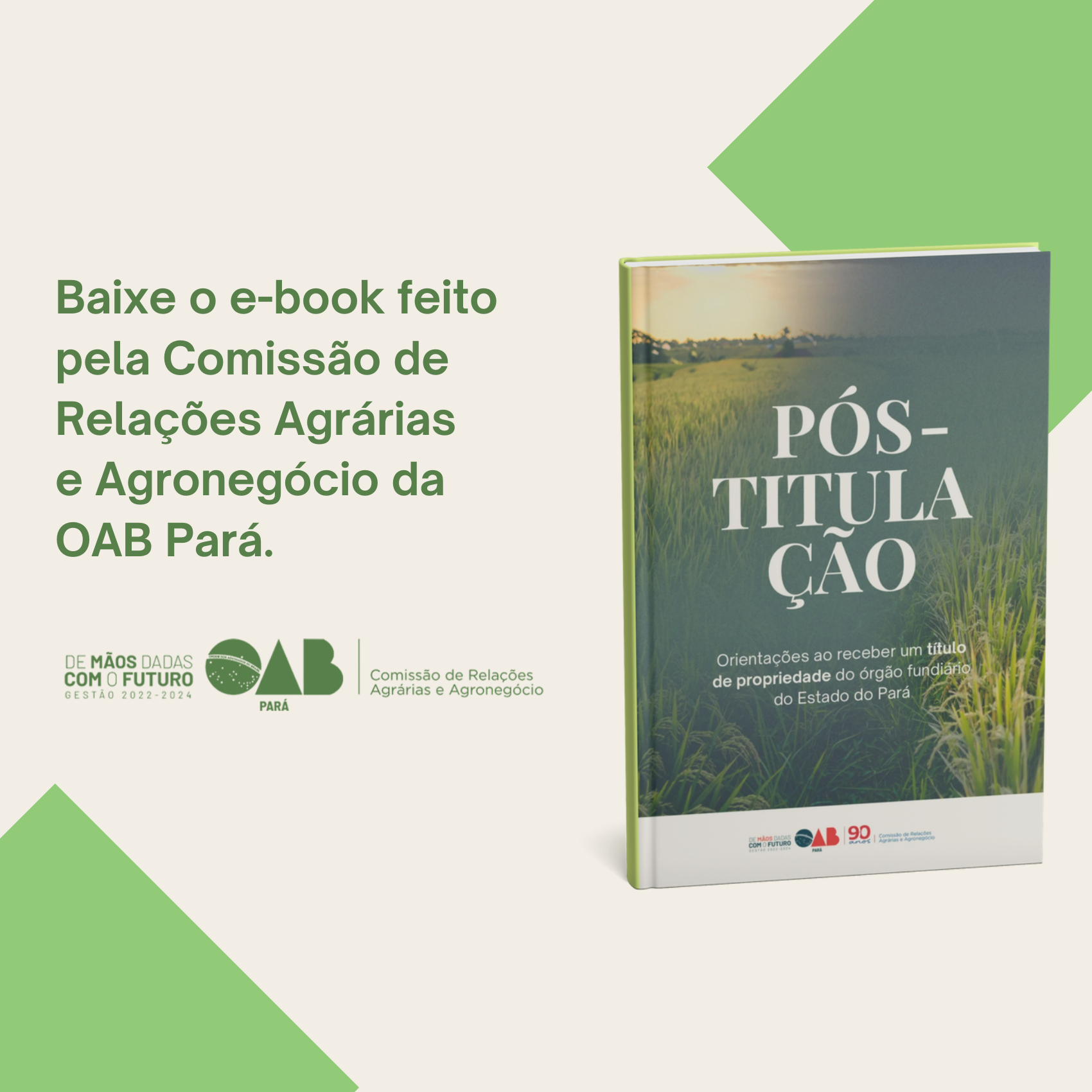 E-book de pós-titulação thumbnail