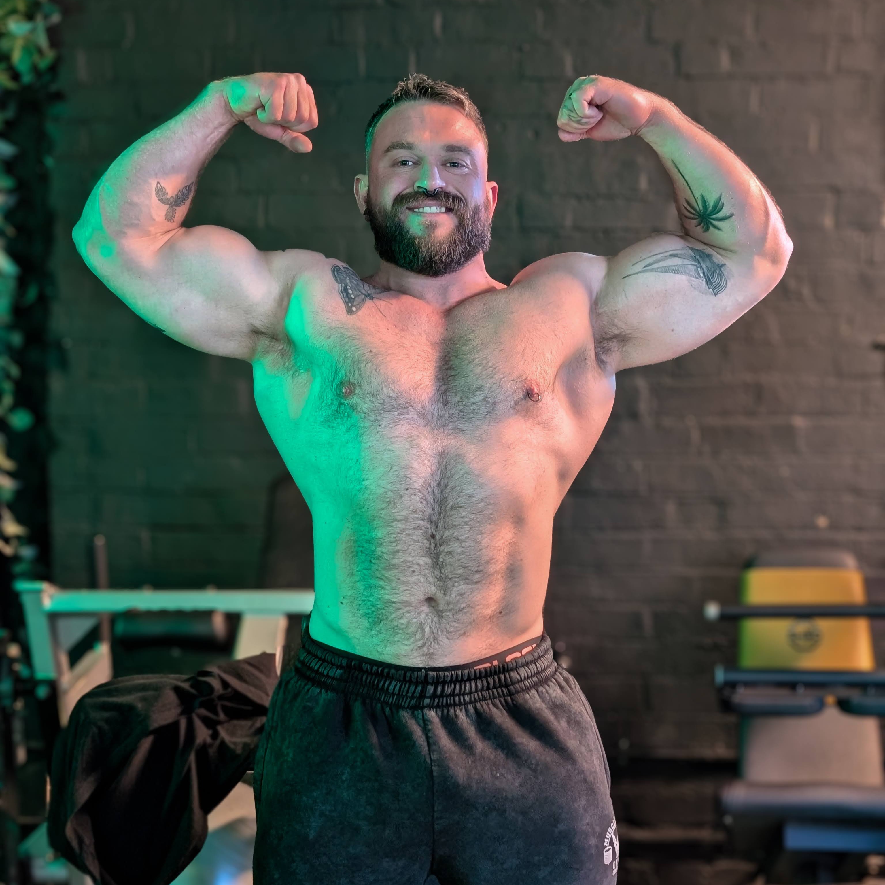 The Bear Trainer Online Coaching thumbnail
