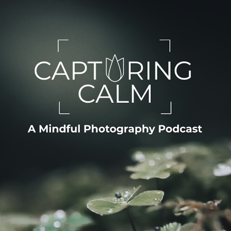 Capturing Calm Website thumbnail