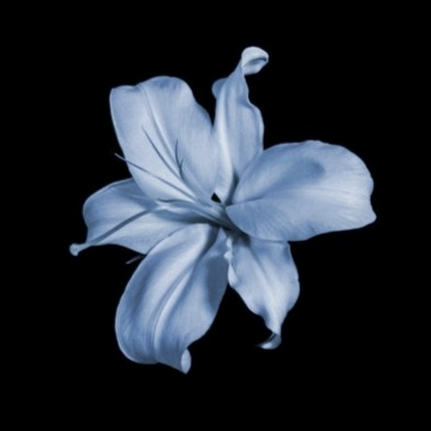 Commission info thumbnail