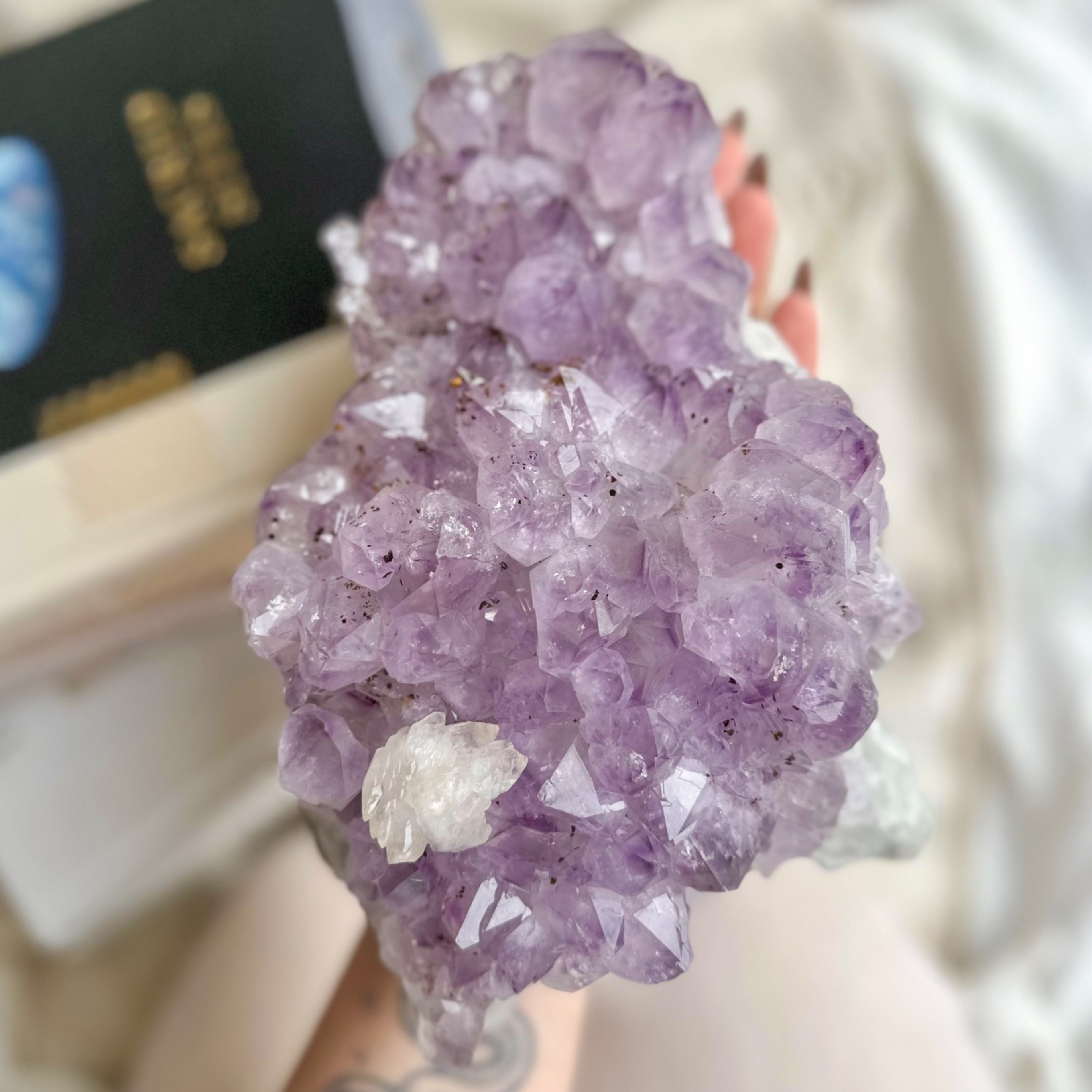 LOJA ON-LINE  thumbnail