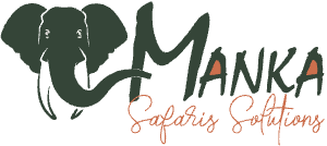Manka safari solutions thumbnail