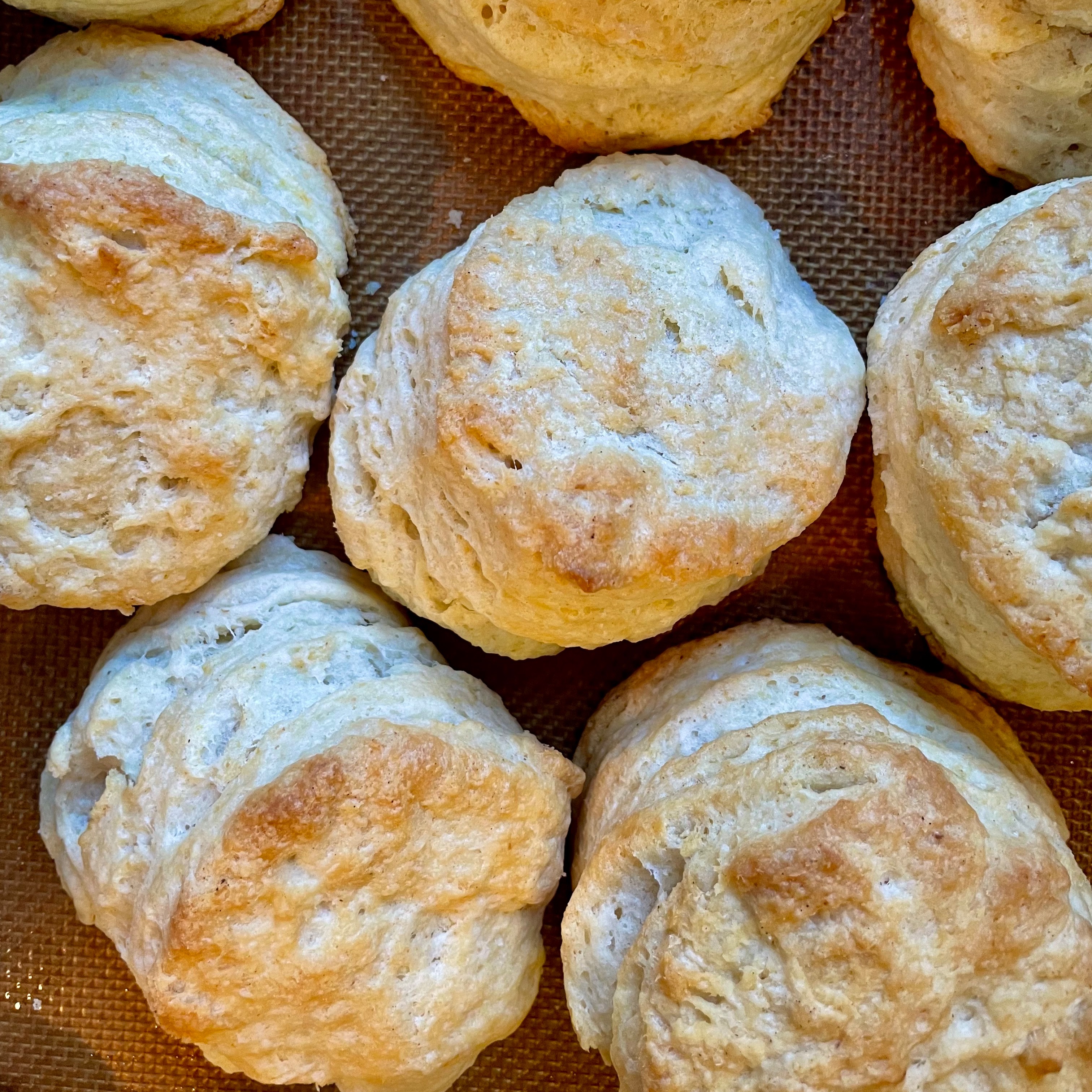 Discard Biscuits thumbnail