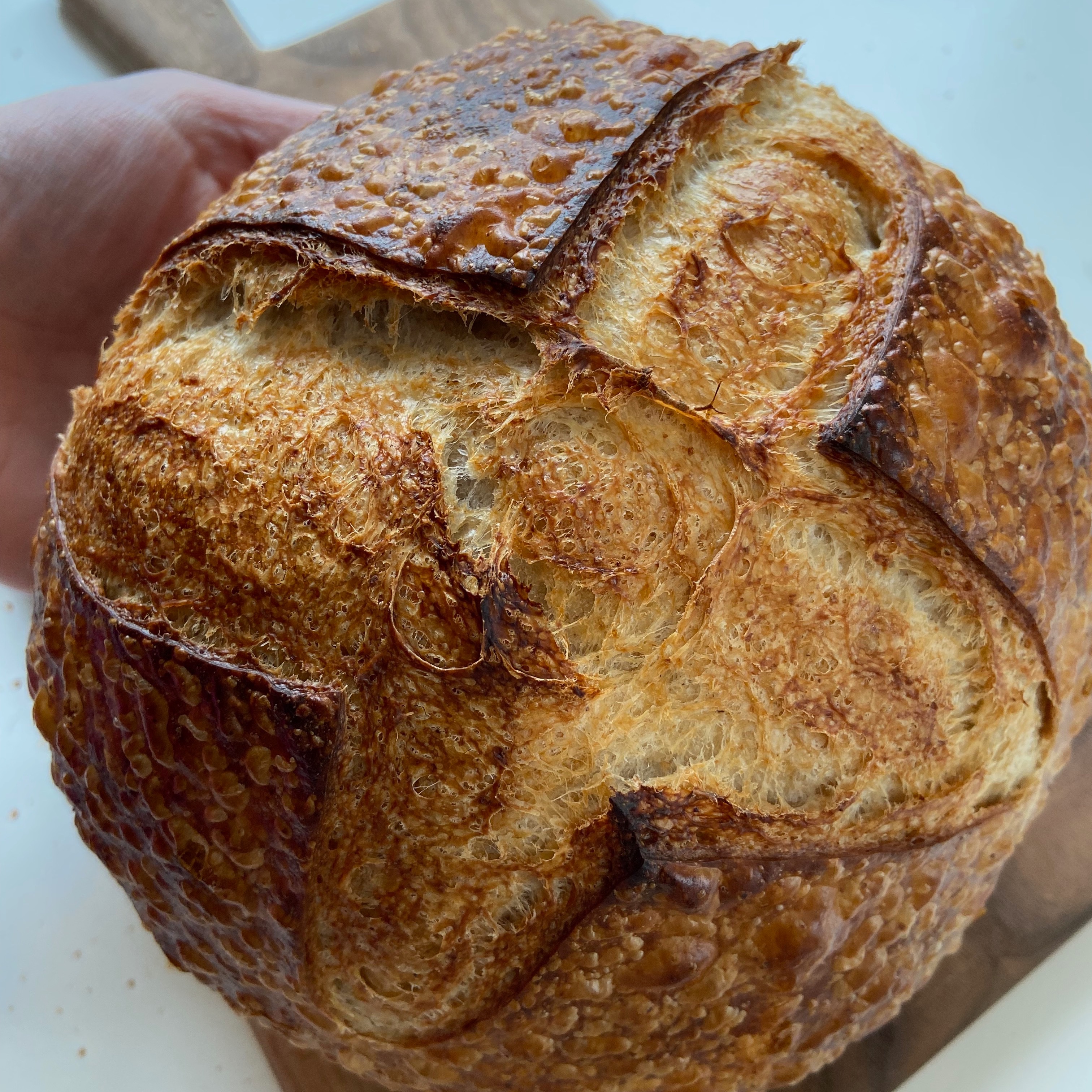 Basic Sourdough Bread thumbnail
