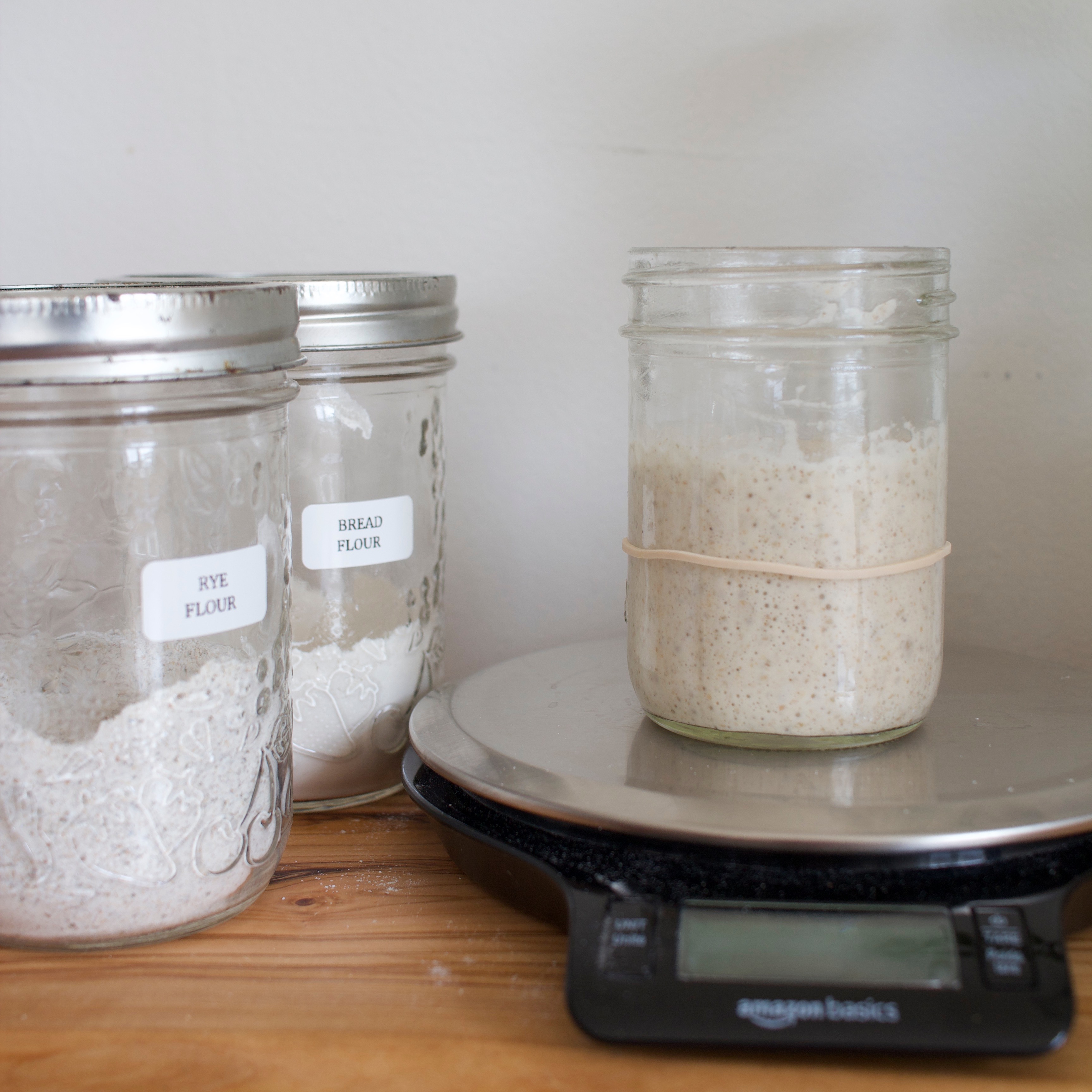 FREE Starter Guide thumbnail