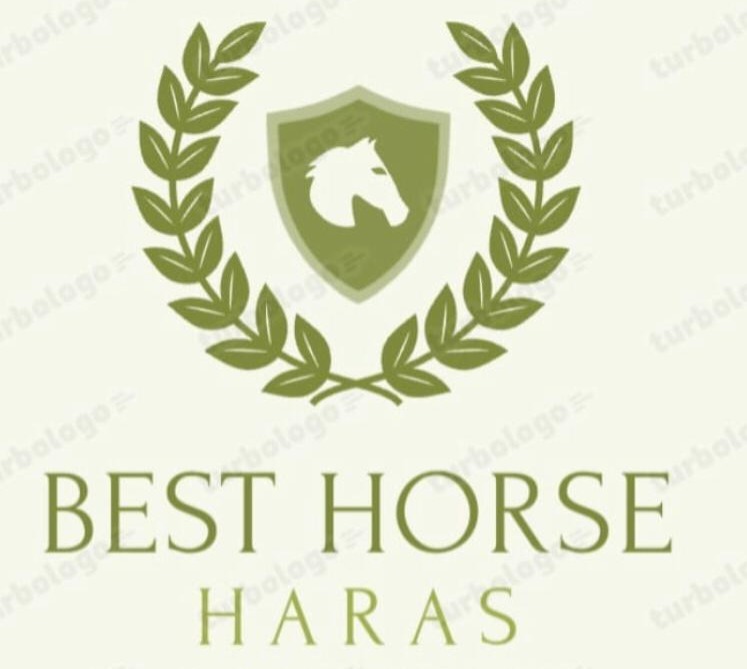 INSTAGRAM HARAS BEST HORSE thumbnail