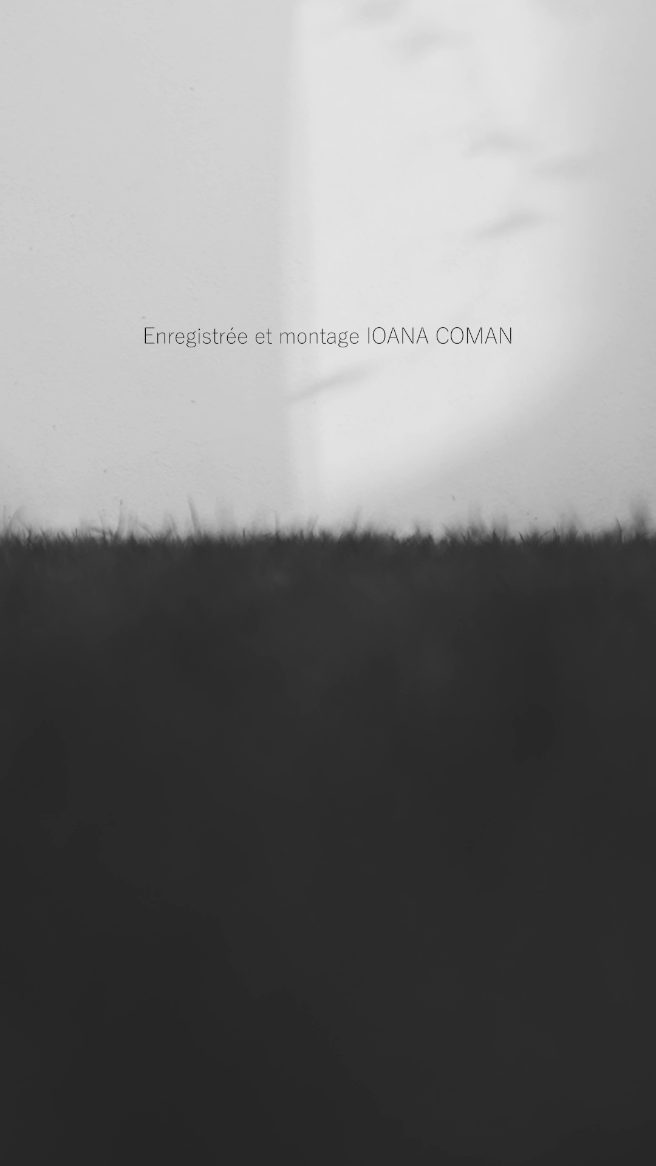 Ira, un grand amour 🤍

#puppy #video #carlabruni #photography #videography