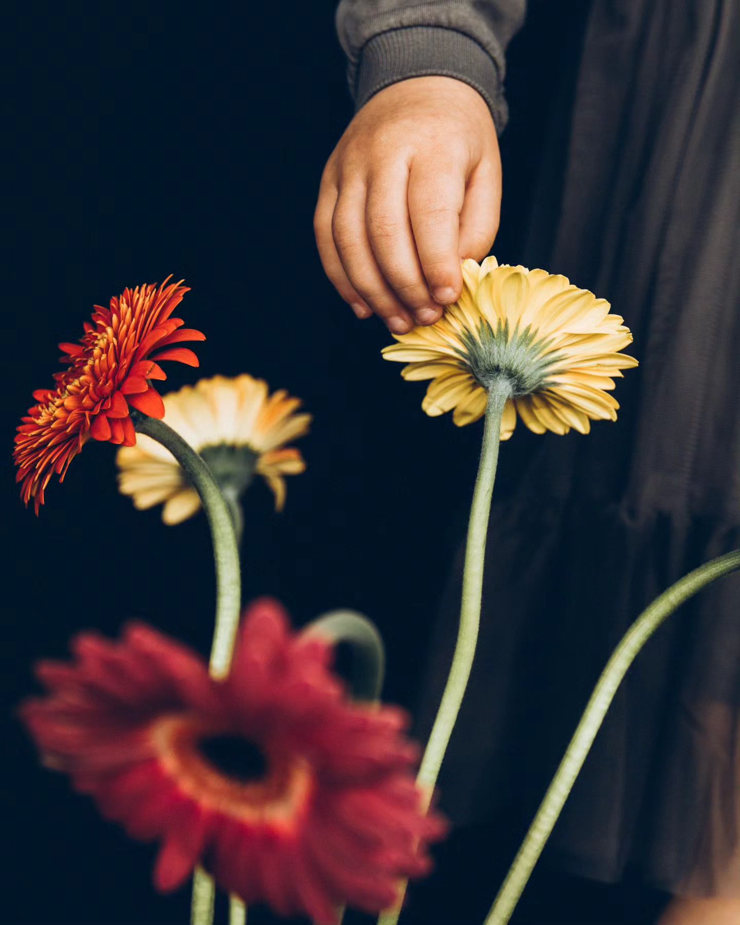 #RetoInfanciaEFTIyCEWE
@escuelaefti @cewe_es

#NaturalmenteDeTodos @culturainquieta @iberdrola