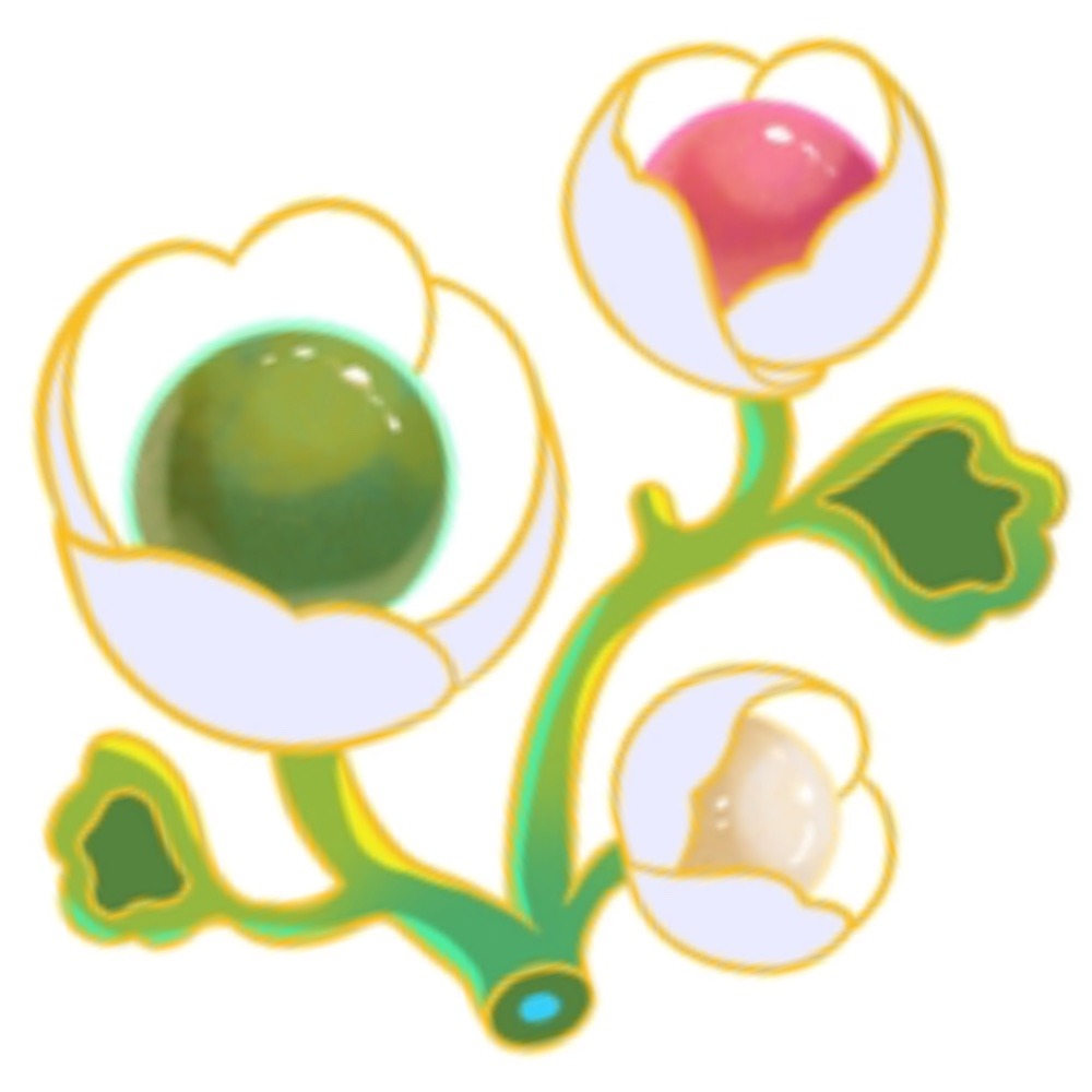 WEBSITE + INT'L STORE thumbnail