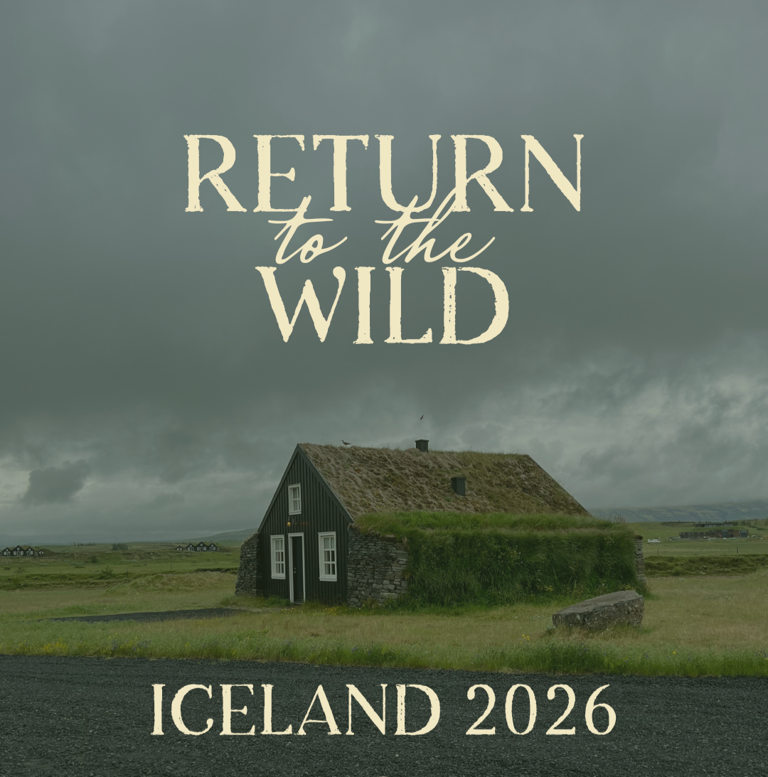 Return to the Wild Iceland Writing Retreat thumbnail