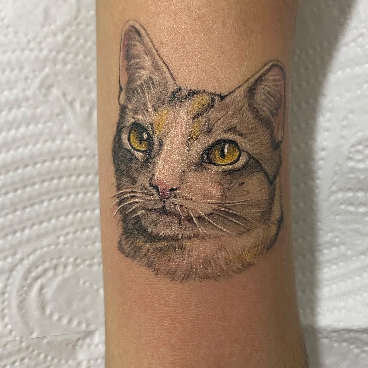 Micro realismo 🐱
Ya viste el reel del proceso ?✨🫶🏻
@sebastattooer
