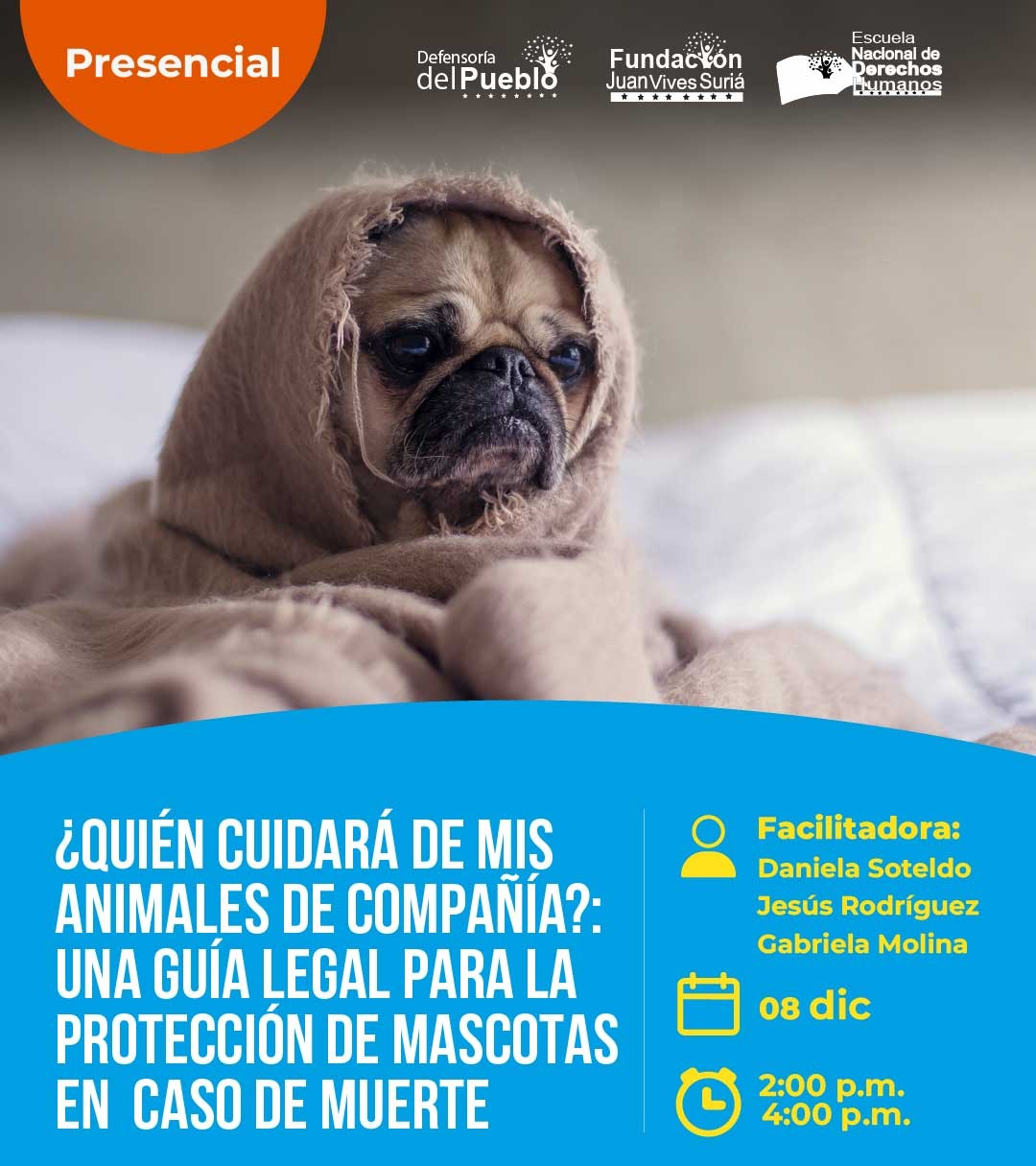 08 de diciembre thumbnail