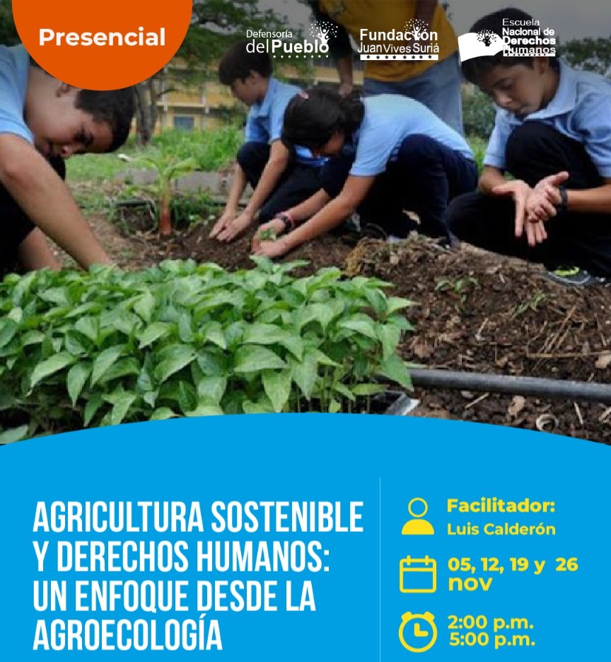 05, 12, 19 y 26  de noviembre thumbnail