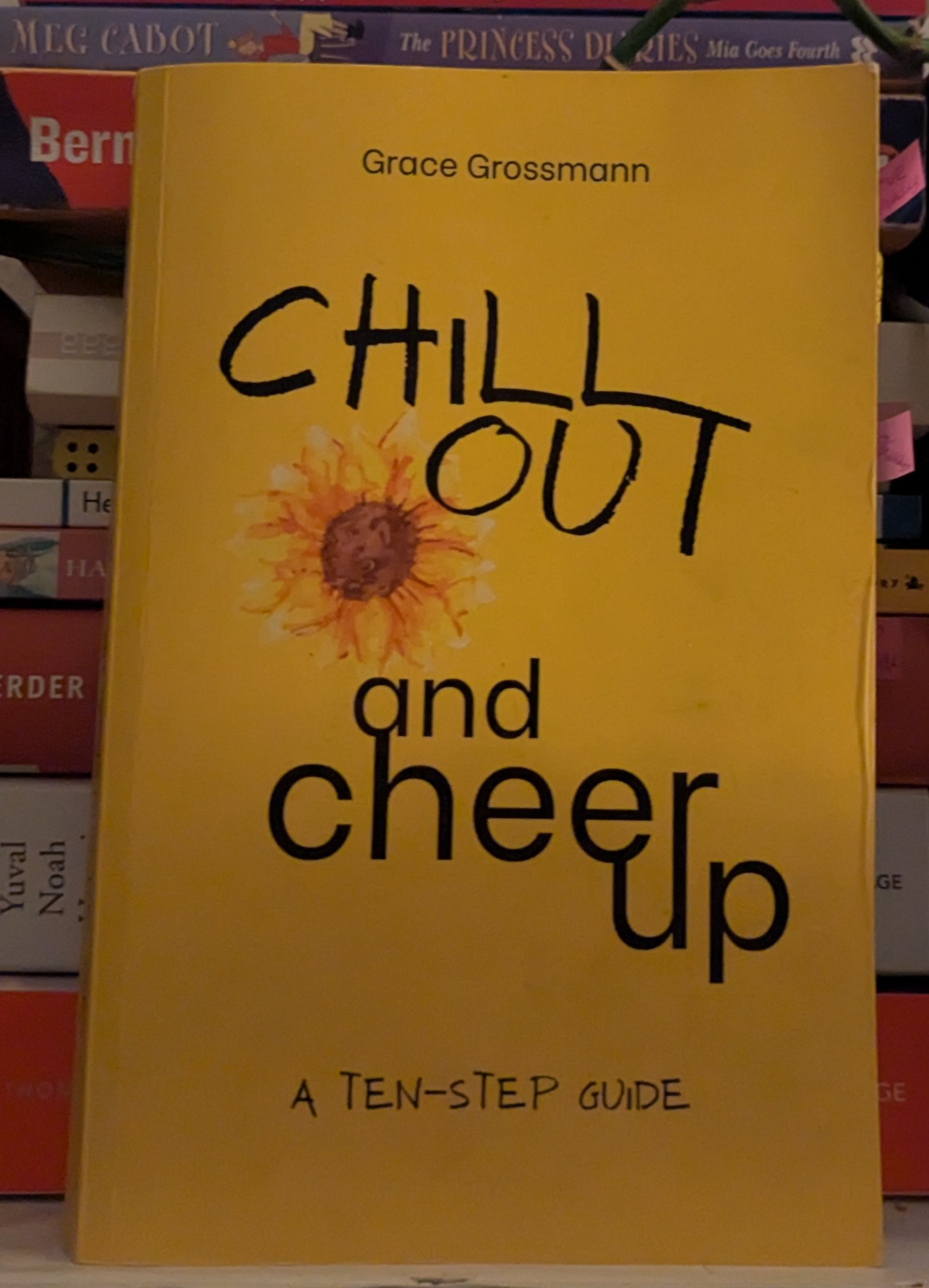 Chill Out and Cheer Up: A Ten-Step Guide thumbnail