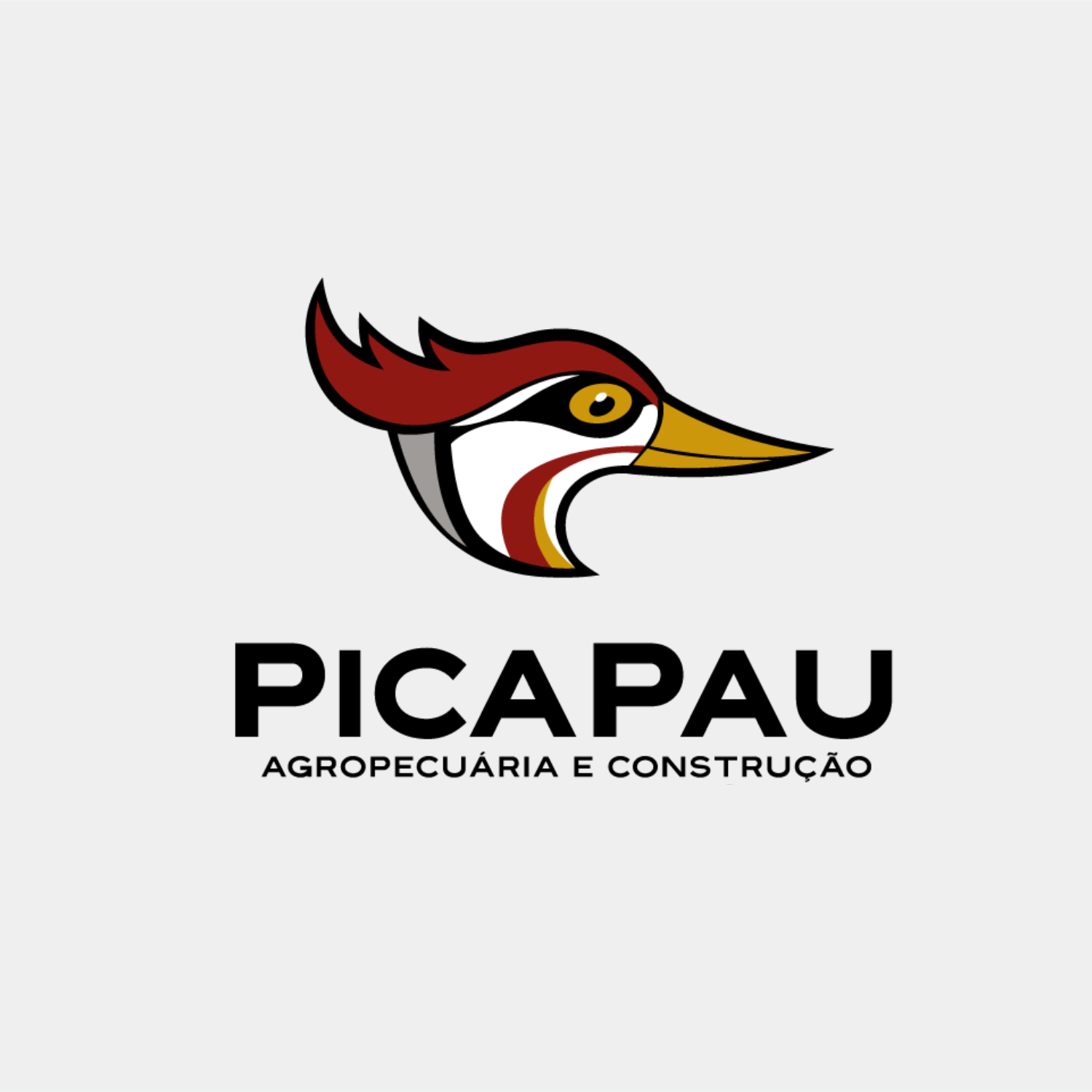 Picapau | Agropecuária e Construção thumbnail