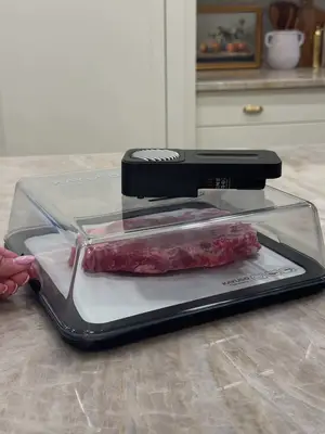 The ultimate busy (forgetful) mom hack! Meat thaws in less then 20 minutes 🥩✨ #easydinnerideas #busymomhacks #kitchengad