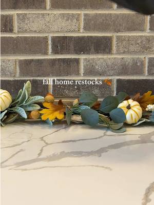 Fall home restocks & refills 🍂 love cozy vibes season 🎃 🧡 #fallvibes #homerestock #restockandrefill #restockingvideo #as