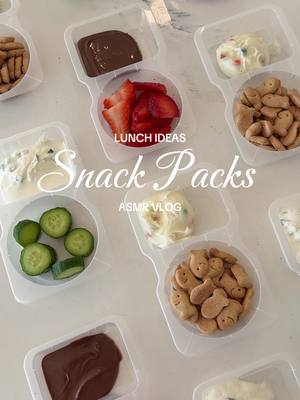 Snack Pack Restock 🍓love these little containers for meal prepping lunches! #lunchboxideas #kidslunchideas #healthysnack