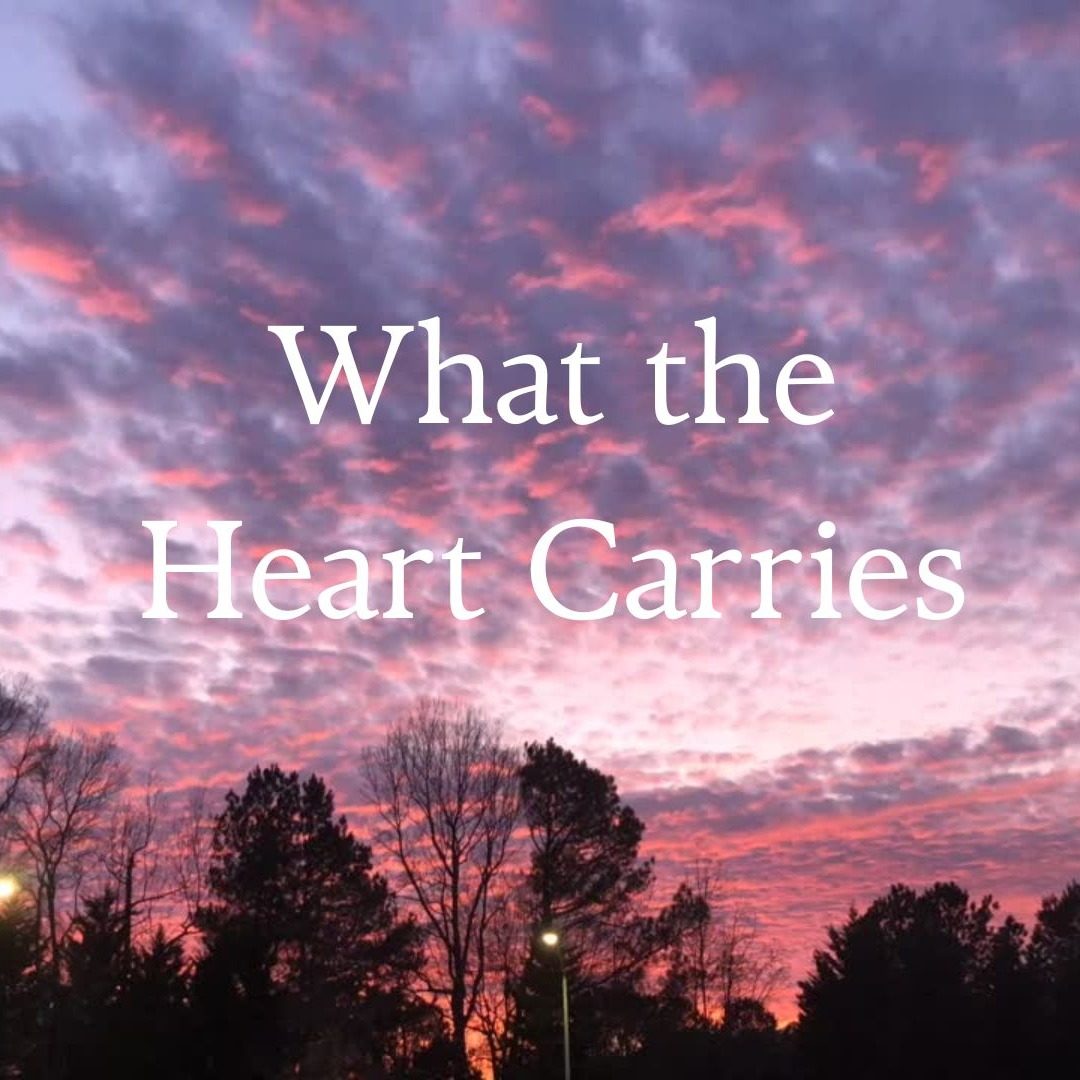 Liz Quinn | Substack thumbnail