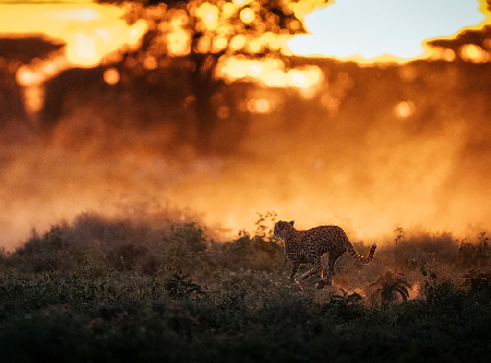 The Shot That Was Never Taken thumbnail