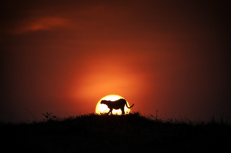 Nothing Happens, Until Everything Does thumbnail