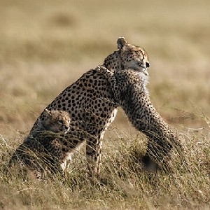 Sony Imaging Ambassador thumbnail