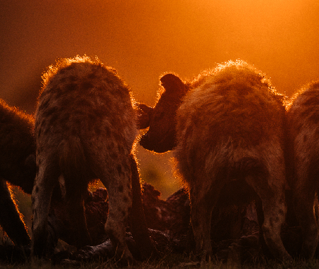 What We Choose To See thumbnail