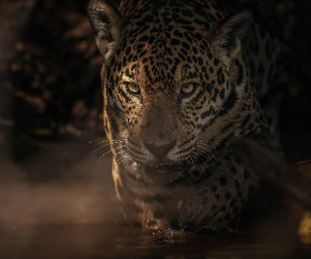 Photo Tours thumbnail