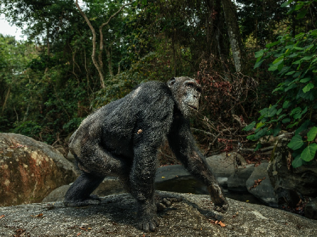 The Real Magic: Why Lenses Matter More Than You Think thumbnail