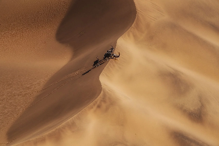 Fine Art Prints thumbnail