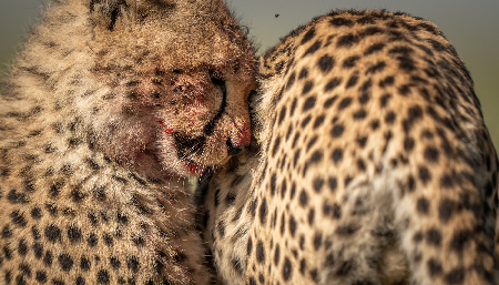 The Perfect Camera Doesn’t Exist, Only the Perfect Fit thumbnail