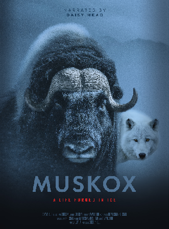 Introducing MUSKOX, narrated by Daisy Head thumbnail