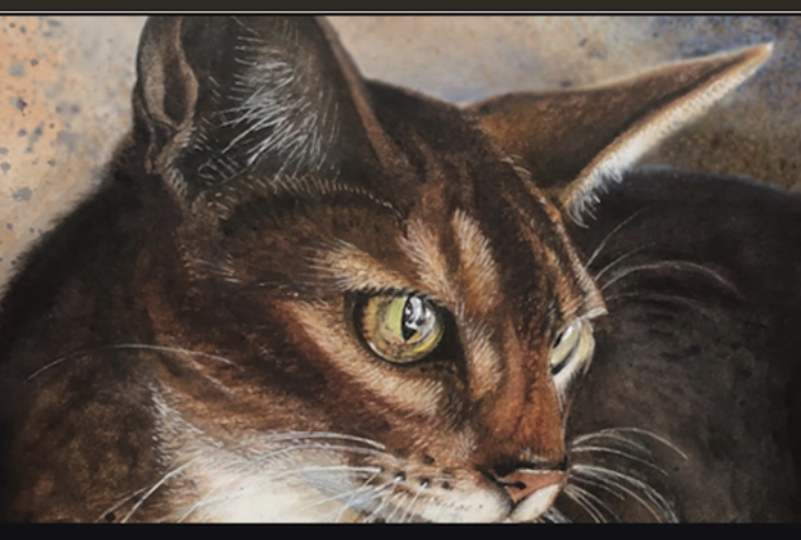 Become an Art Patron thumbnail