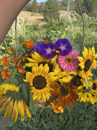 Join our collective/ memebership :: food sovereignty, collaborations, collective healing & world building thumbnail