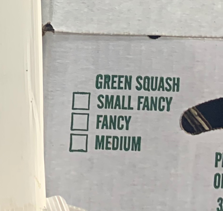 view my portfolio thumbnail