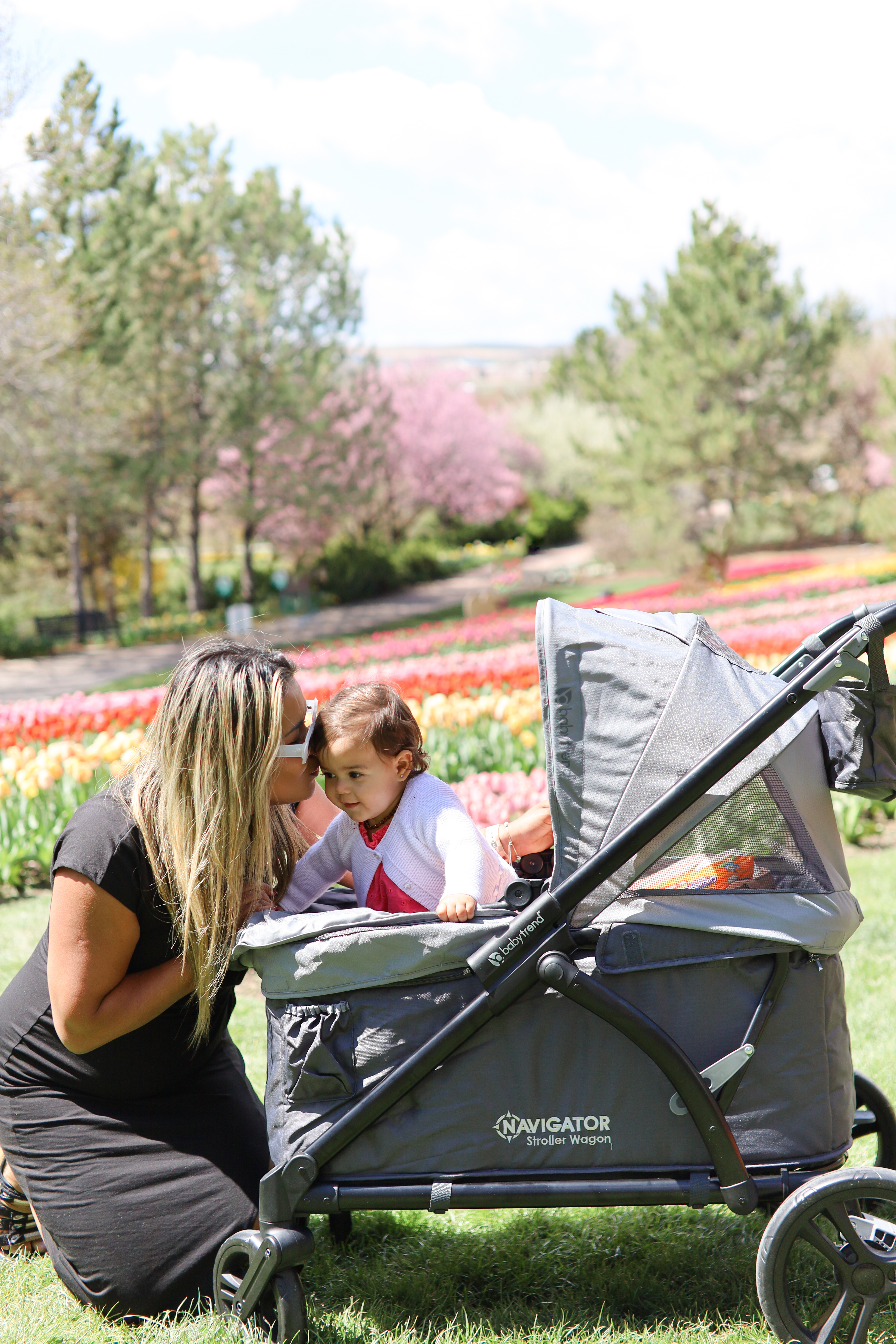 Stroller Wagon thumbnail