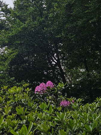 Free download • Guide & Meditation thumbnail