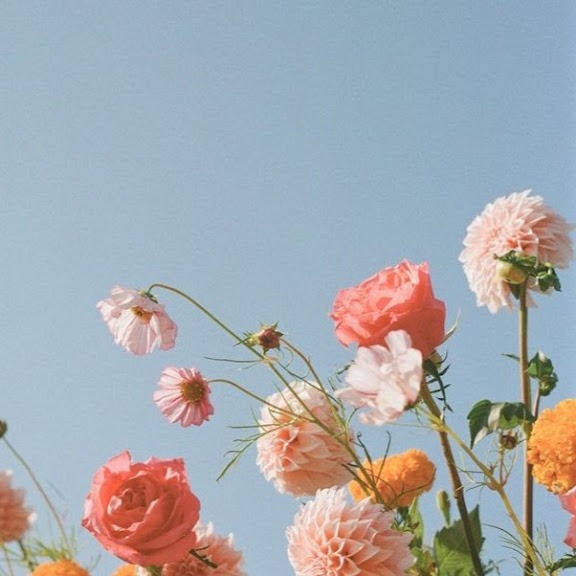 Click here to join! thumbnail