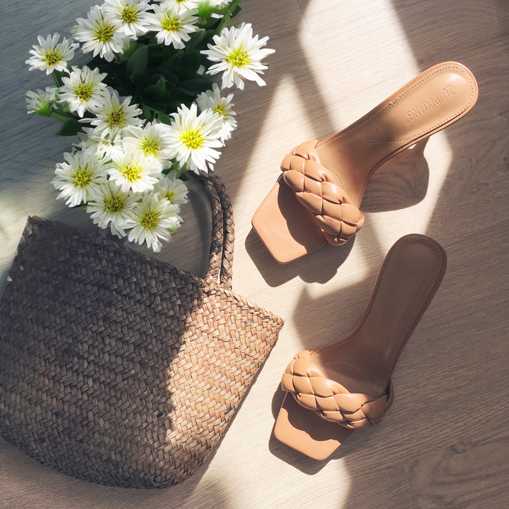 Monthly Newsletter / TDC Blog thumbnail