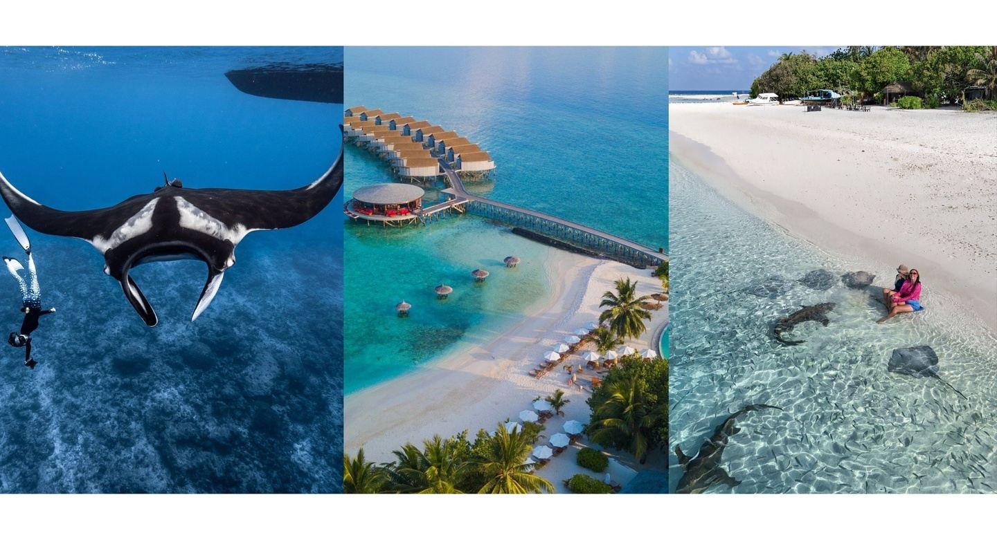 Epic Maldives: Wildlife & Beach Explorer Feb 27th - 6th in Malé, Maldives thumbnail