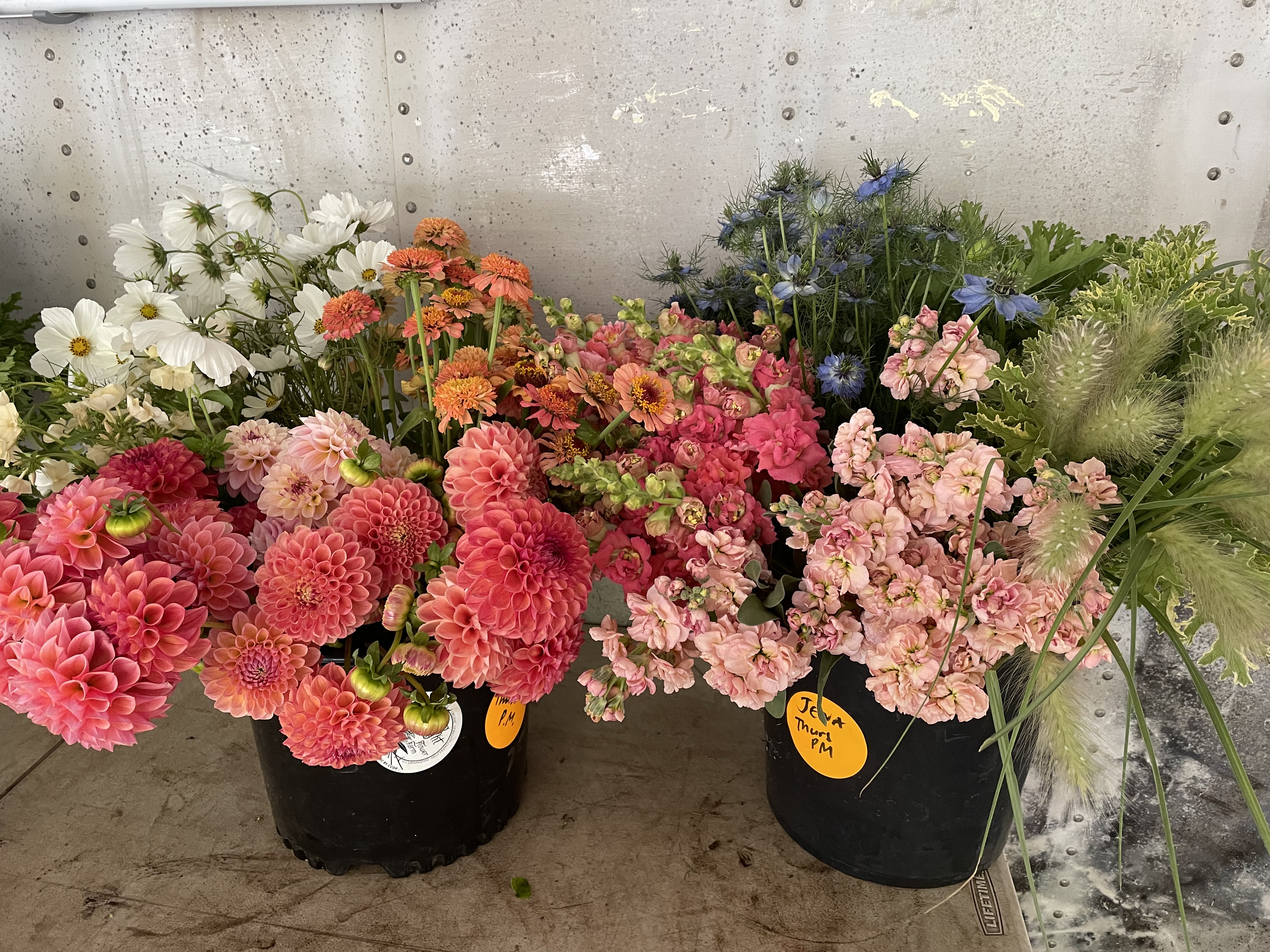 DIY Buckets thumbnail