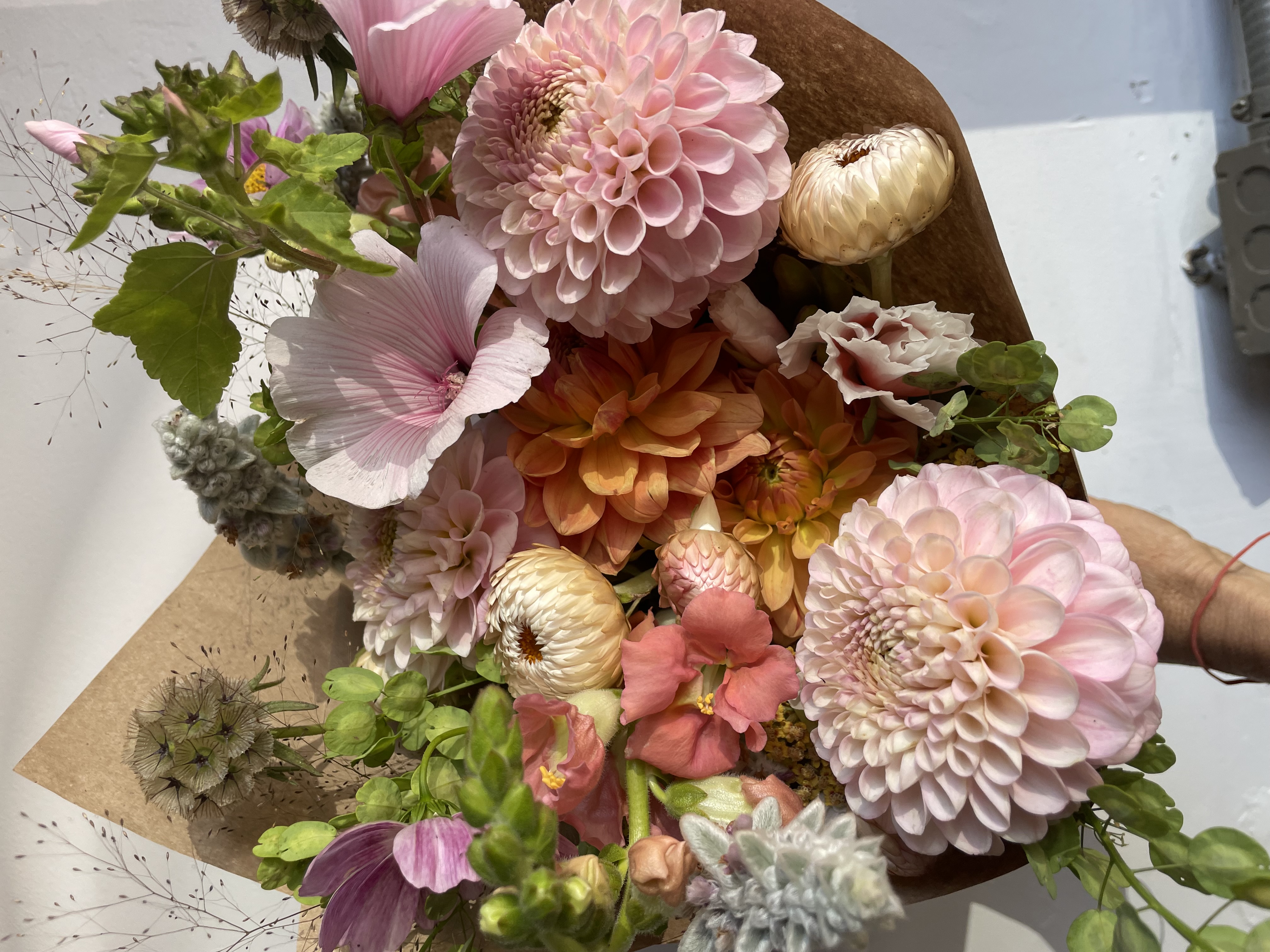 Bouquets & Subscriptions thumbnail