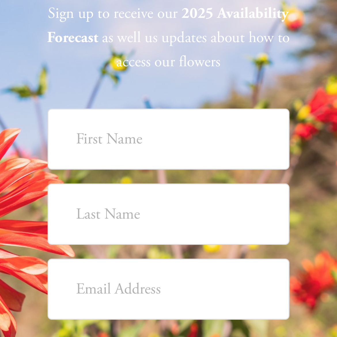 Florist Mailing List thumbnail