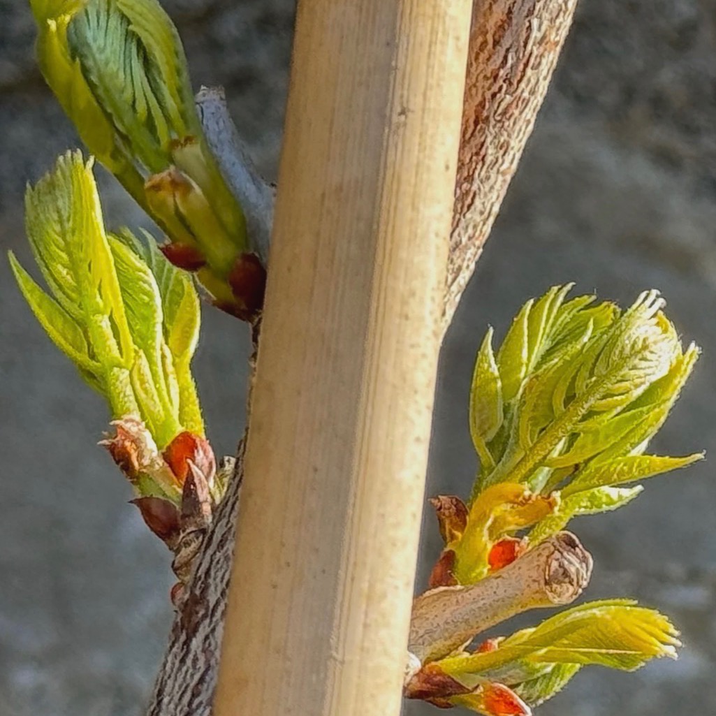 Transitions | My Latest Blog piece thumbnail