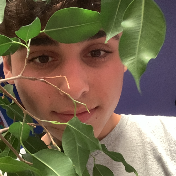 BioSite profile picture for @twitch