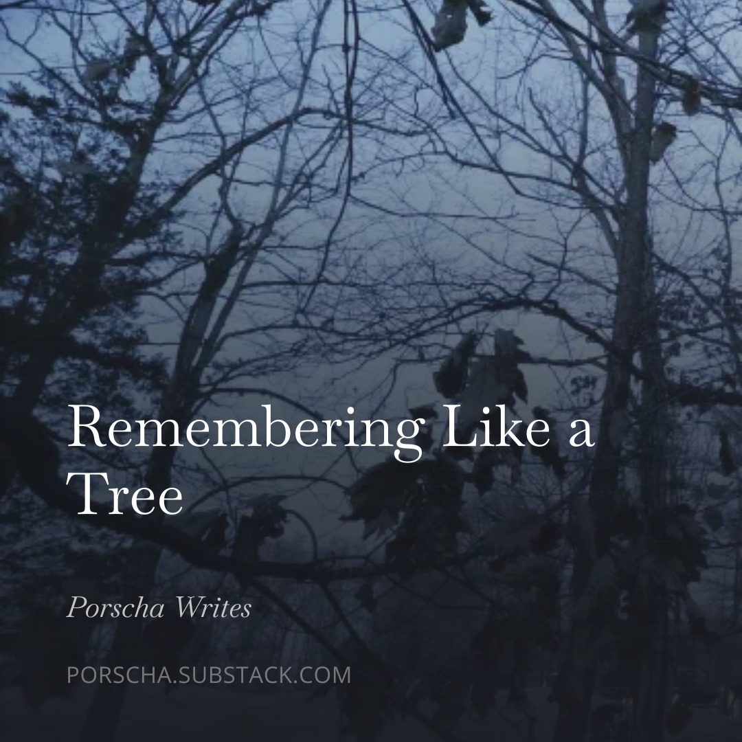 NEWEST ESSAY thumbnail