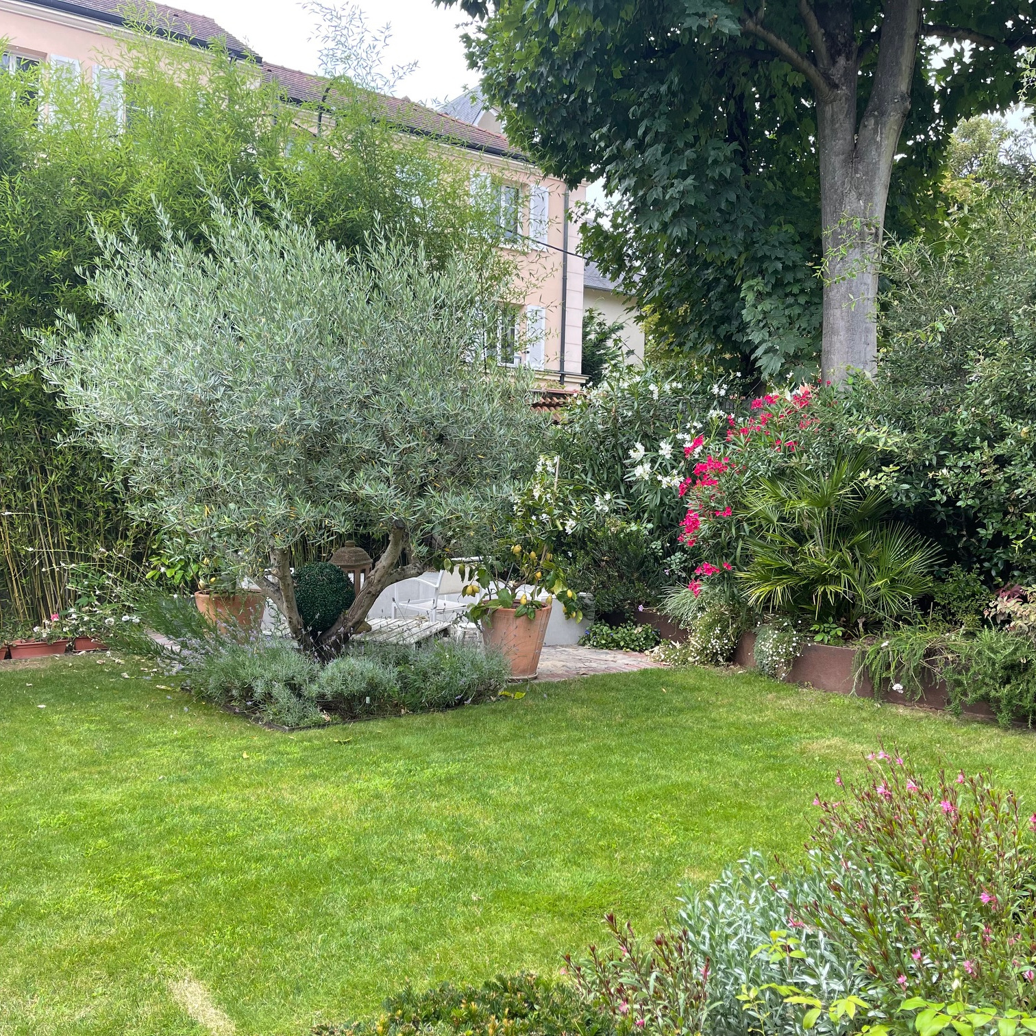 BOOST LUNCH Un dejeuner sainplement bon qui booste votre potentiel thumbnail